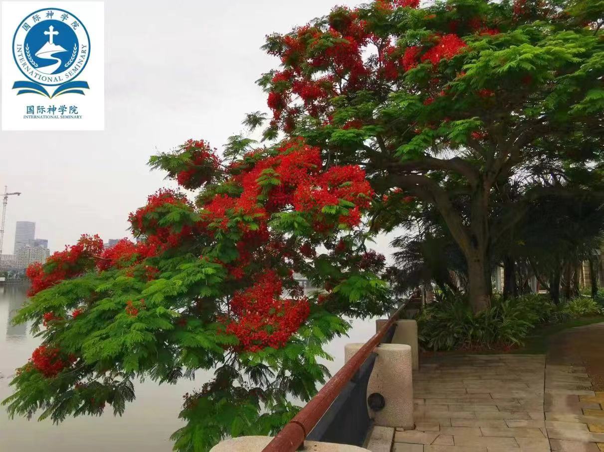 中国贡献！“中国天眼”进入“多出成果”“出好成果”阶段