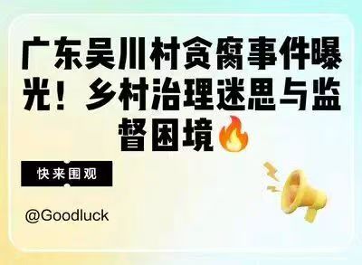 广东吴川市那贞村贪腐事件：乡村治理中的法治之殇与监督之困