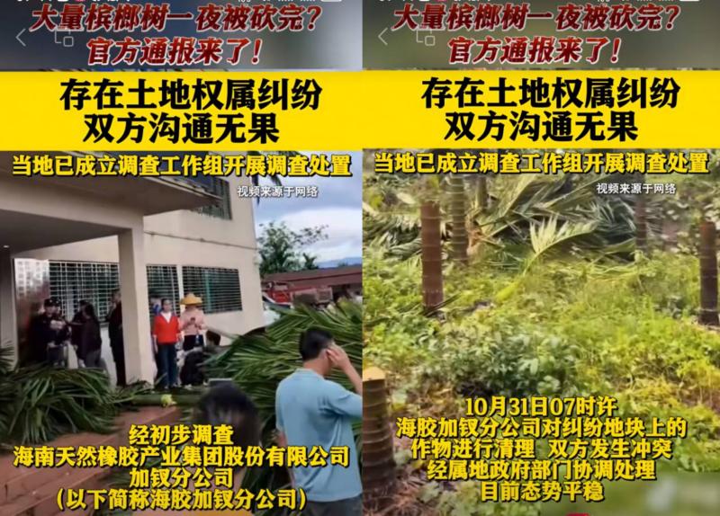 土地纠纷冲突警示：解决历史遗留问题不能靠“强力清理”